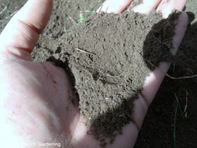 How To Build a Vegetable Bed Biodynamically, Part 1 Image